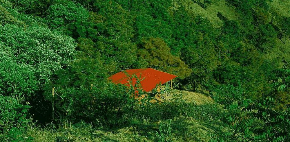 Aamod Resort Shimla Exterior photo