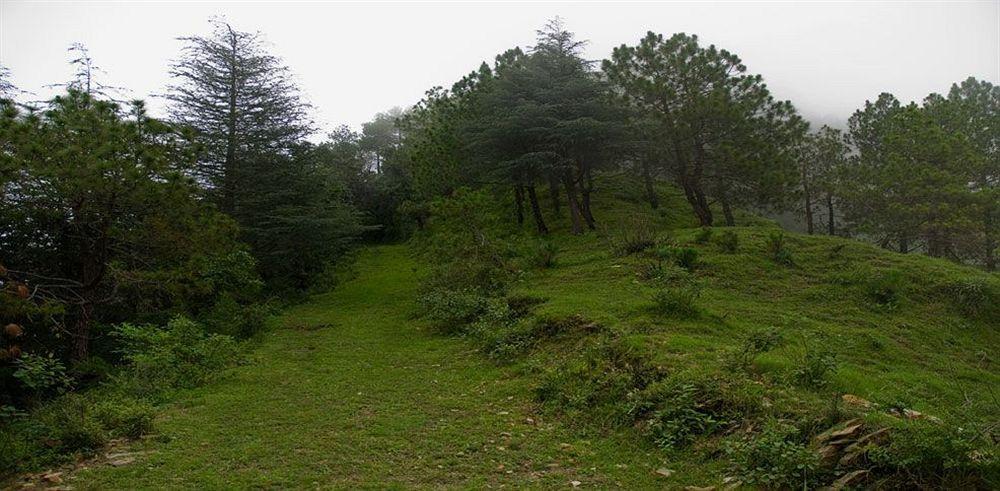 Aamod Resort Shimla Exterior photo