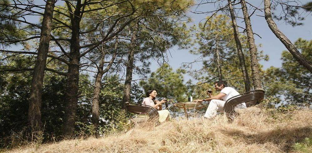 Aamod Resort Shimla Exterior photo
